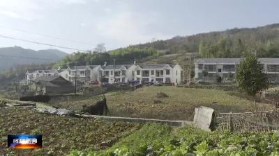 道德模范 李大云