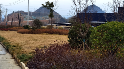 县工业园区管委会： 着力打造绿色园区 推进循环产业园绿色发展