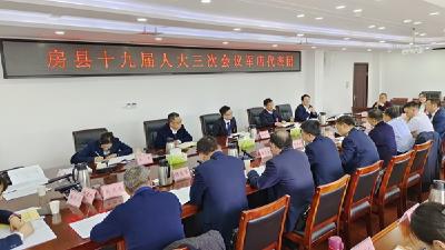 杨丹华参加人大军店门古寺代表团审议和政协经济界联组讨论