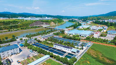 房县：聚力延链条、建集群  工业强县迈上新台阶