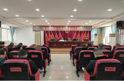 野人谷镇：传达学习贯彻两会精神