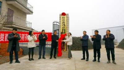 房县鑫鸿中药材种植有限公司初加工厂揭牌运营