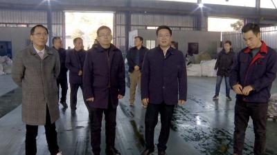 谢晓鸣强调：推动项目建设“加速跑”  奋力冲刺“开门红”