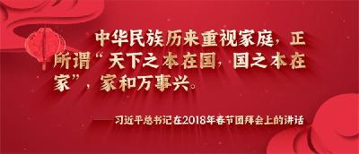 元宵节 感悟总书记的家国情