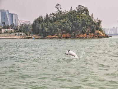 从一个湖到一片海