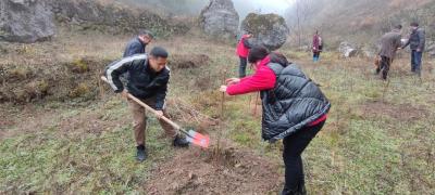 门古寺镇：不负春光 携手共建绿色村庄