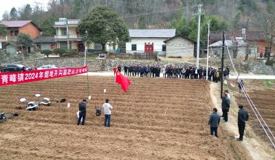 青峰镇：田间地头开起烟叶产业发展现场会