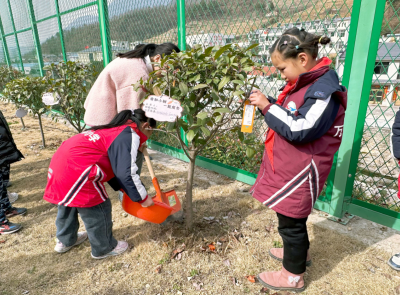 万峪河乡中心小学开展义务植树活动
