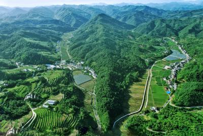门古寺镇：“河长制”变“河长治”  岸美水清河畅流