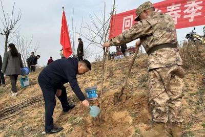 回龙乡：春季植树忙 大地添新绿