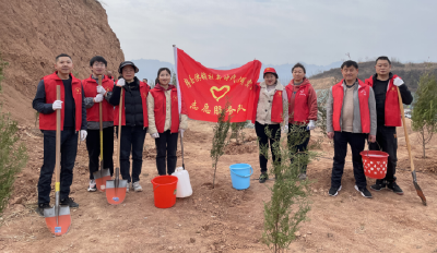 房县供销社开展植树造林绿化环境活动