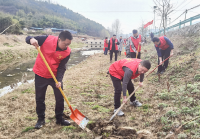 化龙堰镇：最是一年春光好  植树添绿正当时