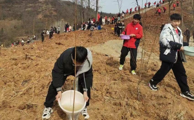 正“植”好时光  房县各单位组织开展义务植树活动