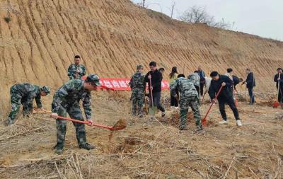 青峰镇：不负春光添新绿 植树造林正当时