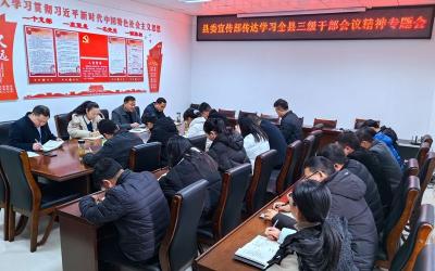 县委宣传部：传达学习全县三级干部会议精神