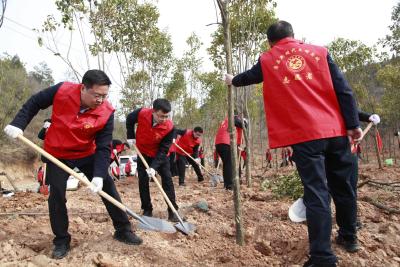 谢晓鸣杨丹华等县领导参加义务植树活动