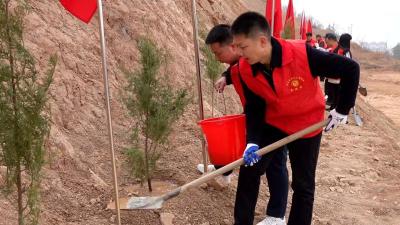 县住建局积极参加春季义务植树活动