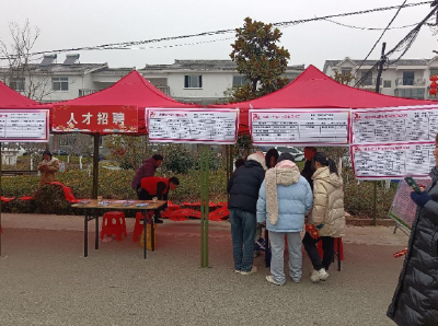白鹤镇：高质量就业服务推进乡村振兴