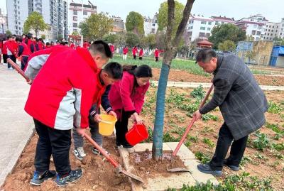 拥抱春天 “植”此青绿——房县东城小学开展植树节主题教育活动