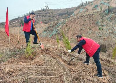 “植”此青绿 不负春光—县委组织部参加义务植树活动