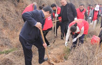 房县教育局：“植”此青绿共绘春景