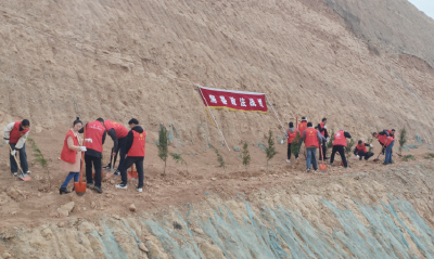 县委政法委开展义务植树活动