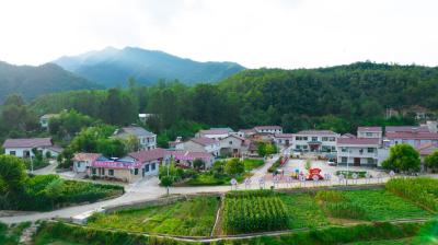 青峰镇：深化共同缔造 绘就和美乡村