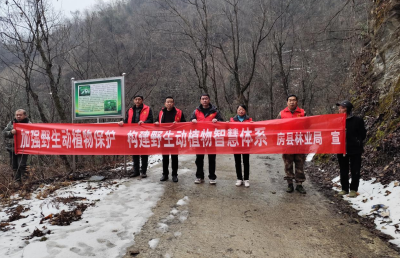 上龛乡：构建智慧保护体系 共绘绿水青山画卷