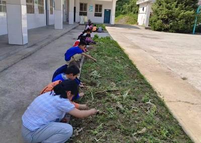 门古寺镇东河小学：开展劳动实践教育活动