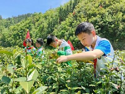    城关镇八一希望小学：劳动砺心智    实践促成长