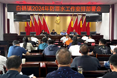 白鹤镇：强化党建引领  部署2024年度防溺水工作