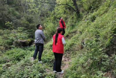 窑淮镇阳坪村：勇当绿色发展的守护者