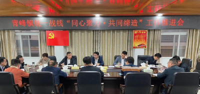 青峰镇：同心聚力谋发展 共同缔造幸福园