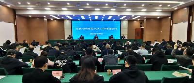 谢晓鸣强调：推进共同缔造试点扩面提质 提升基层治理能力和水平