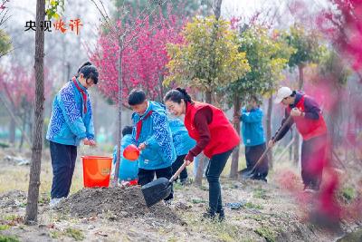 【央视快评】全民植树增绿 共建美丽中国