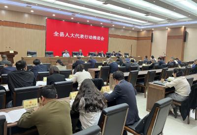 房县安排部署人大代表行动推进工作