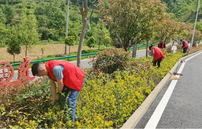 沙河乡：干群同心齐上阵全民参与共治理