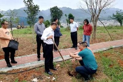 武汉大学马兆成教授一行来房调研黄精产业