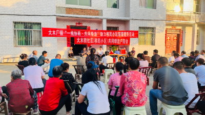 大木厂镇协商议事谋共识，凝心聚力促发展