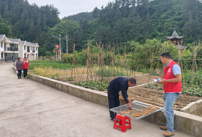 五台乡：乡村振兴有我 平安法治同行