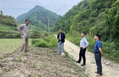 房县退役军人事务局：田间地头人忙碌 五帮六送暖民心