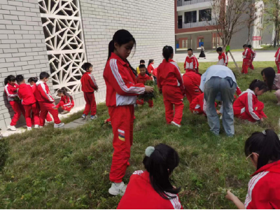 房县东城小学晓阳校区开展劳动实践活动