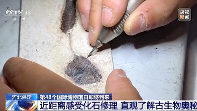 3D扫描、沉浸影像 国际博物馆日打卡清单请查收