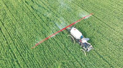 房县加强小麦田管 确保夏粮丰收