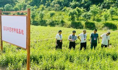 五台乡：开展绿色生态产业调研 为乡村振兴赋能添彩