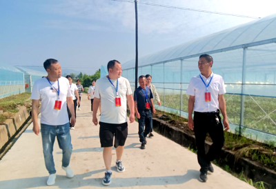 回龙乡：人大代表深入走访调研 共推绿色低碳循环发展