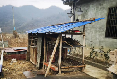 土城村：“和美家园”呈现崭新面貌