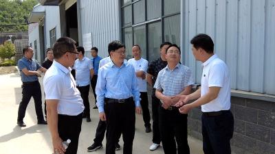 县政协开展林长制工作专题视察活动