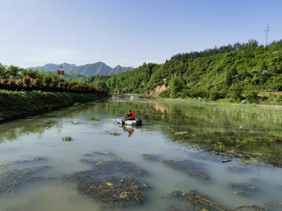军店镇：持续发力做“活”水生态保护文章