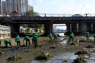 县住建局：全力打造西河“水清岸绿河畅景美”水生态  
